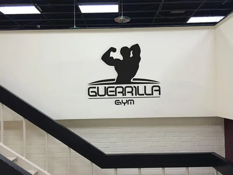 Guerrilla Gym